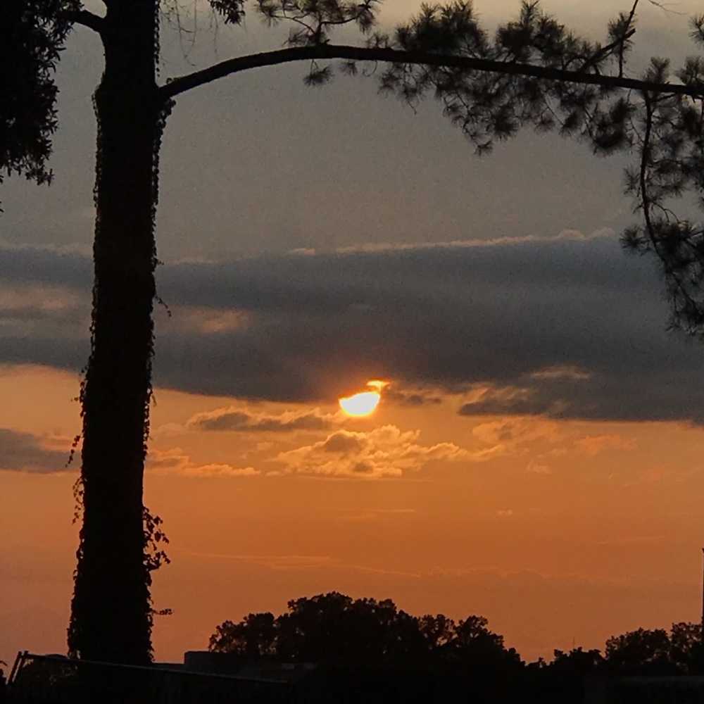 Meet your Posher, Caroline gray